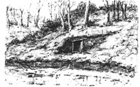 Wallace's Well