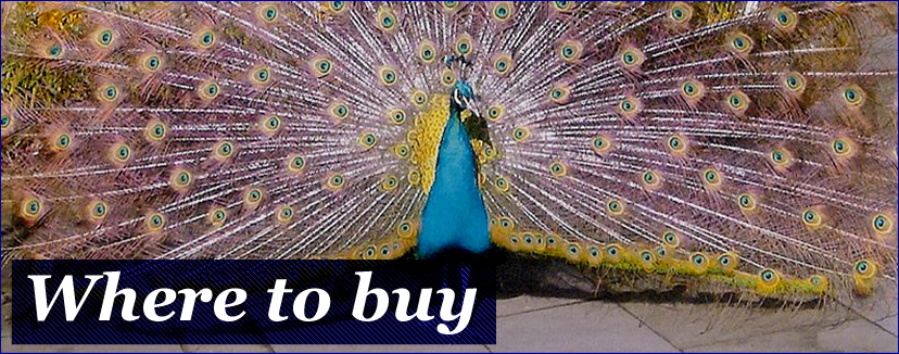where to buy
