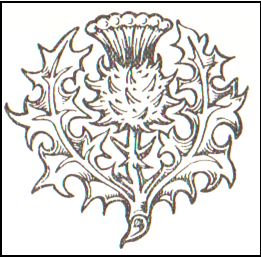 The Thistle