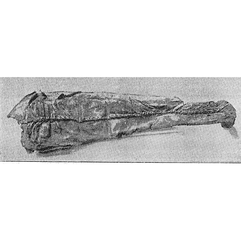 Old shroud